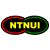 NTNUI Volley