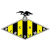 Ribadumia CF