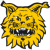 Ilves Akatemia