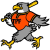 ASD Torre Pedrera Falcons BC