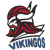 Vikingos