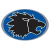 Zurich Lions
