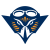 University of Tennessee at Martin Skyhawks