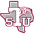 Texas Southern Tigers