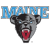 Maine Black Bears