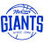 Nelson Giants