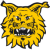FC Ilves Tampere