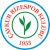 Caykur Rizespor