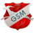 GS Moulares