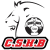 Chevigny St. Sauveur Handball