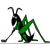 FBC Grasshoppers Zurndorf